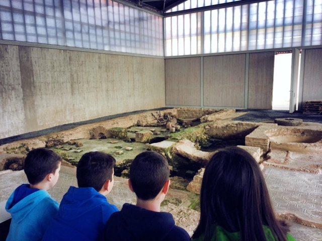 Excursiones culturales